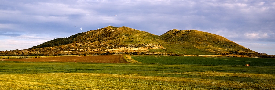 img00006.jpg