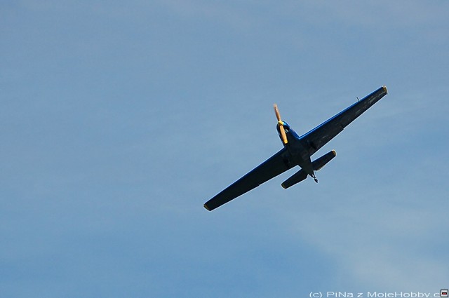 img_DSC_1230s.jpg