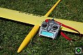 thn_DSC_2972s.jpg
