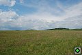 thn_DSC_2979s.jpg