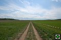 thn_DSC_3085s.jpg